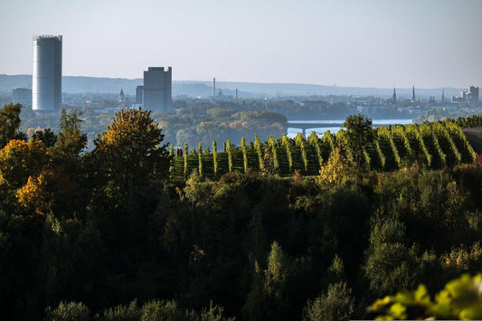 10 Geheimtipps in Bonn – abseits der Klassiker