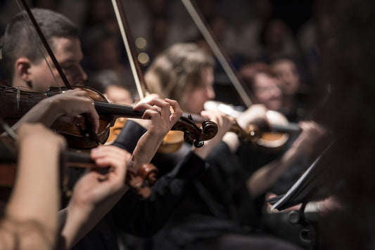 Beethovenfest Bonn 2026: Konzerte, Kultur & besondere Erlebnisse in der Stadt