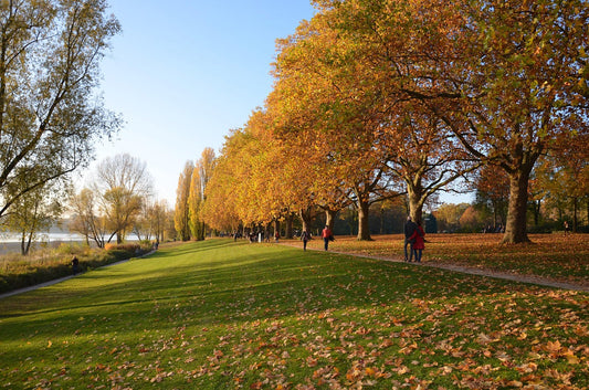 Bonn im September
