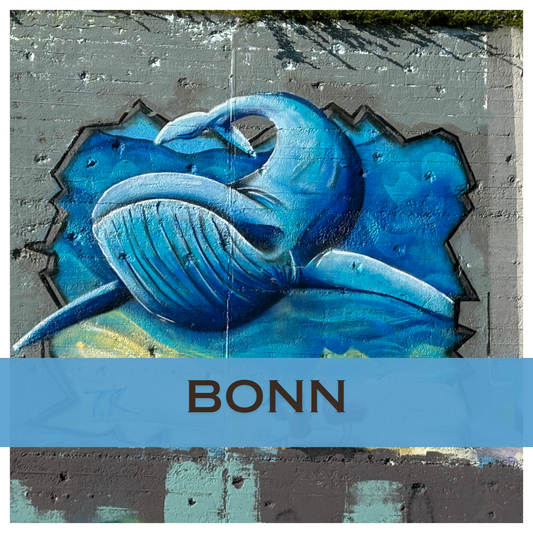 Streetart-Gemälde auf grauer Wand mit einem großen blauen Wal, einem pinken Flamingo und einem kleinen Kind mit Geige – detailreiche urbane Kunst in Bonn.